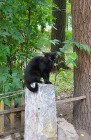 0000004681.jpg