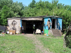 0000003495.jpg