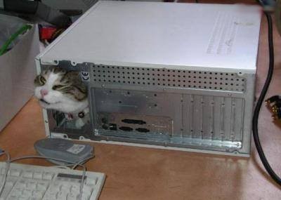 0000000210.jpg